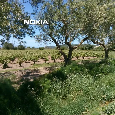 Blue Farmház