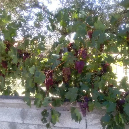 Blue Κατάλυμα σε φάρμα