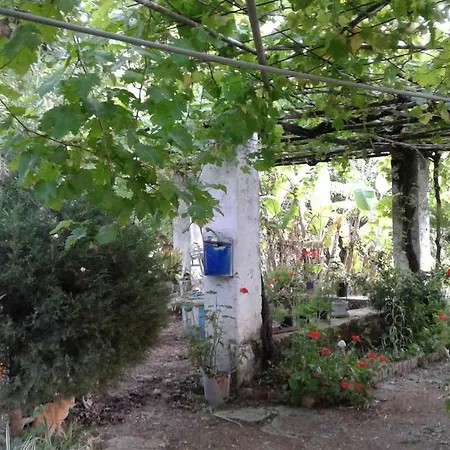 Κατάλυμα σε φάρμα Blue *